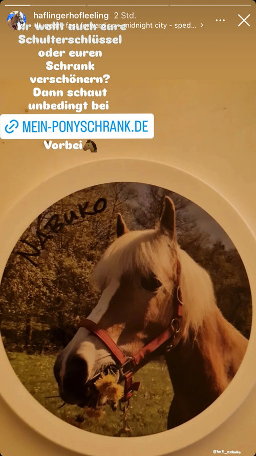 Community Bild