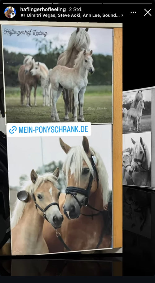 Community Bild